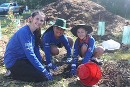 Brian Hilton 2017 Toyota Tree Day