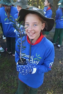 Brian Hilton 2017 Toyota Tree Day