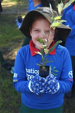 Brian Hilton 2017 Toyota Tree Day