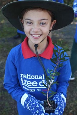 Brian Hilton 2017 Toyota Tree Day