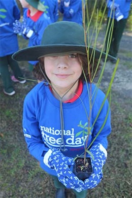 Brian Hilton 2017 Toyota Tree Day