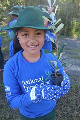 Brian Hilton 2017 Toyota Tree Day