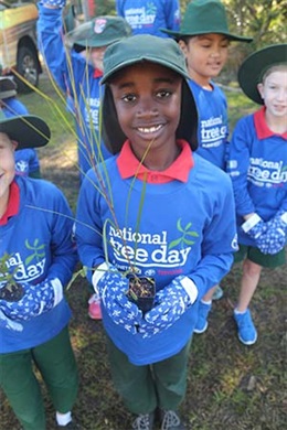 Brian Hilton 2017 Toyota Tree Day