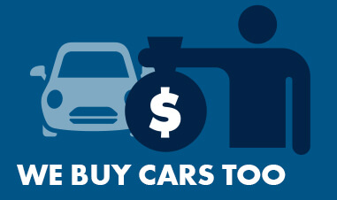 We Buy Cars Too